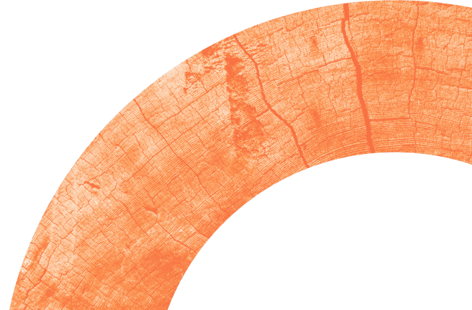 insights-banner-circle