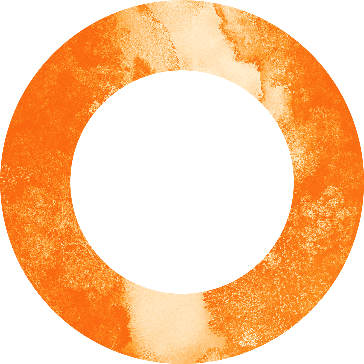 cranlana_circle_orange6