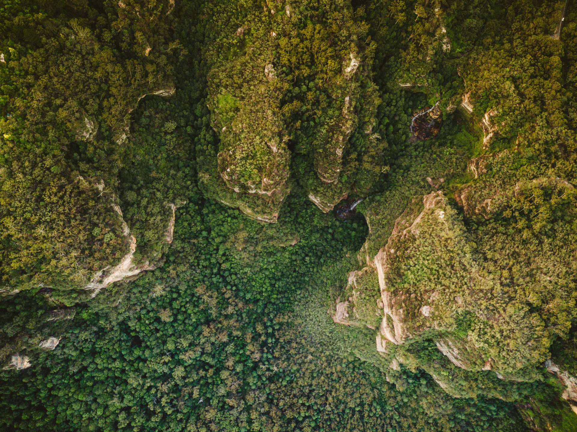 Aerial view of dense forest and rocky hillsides.