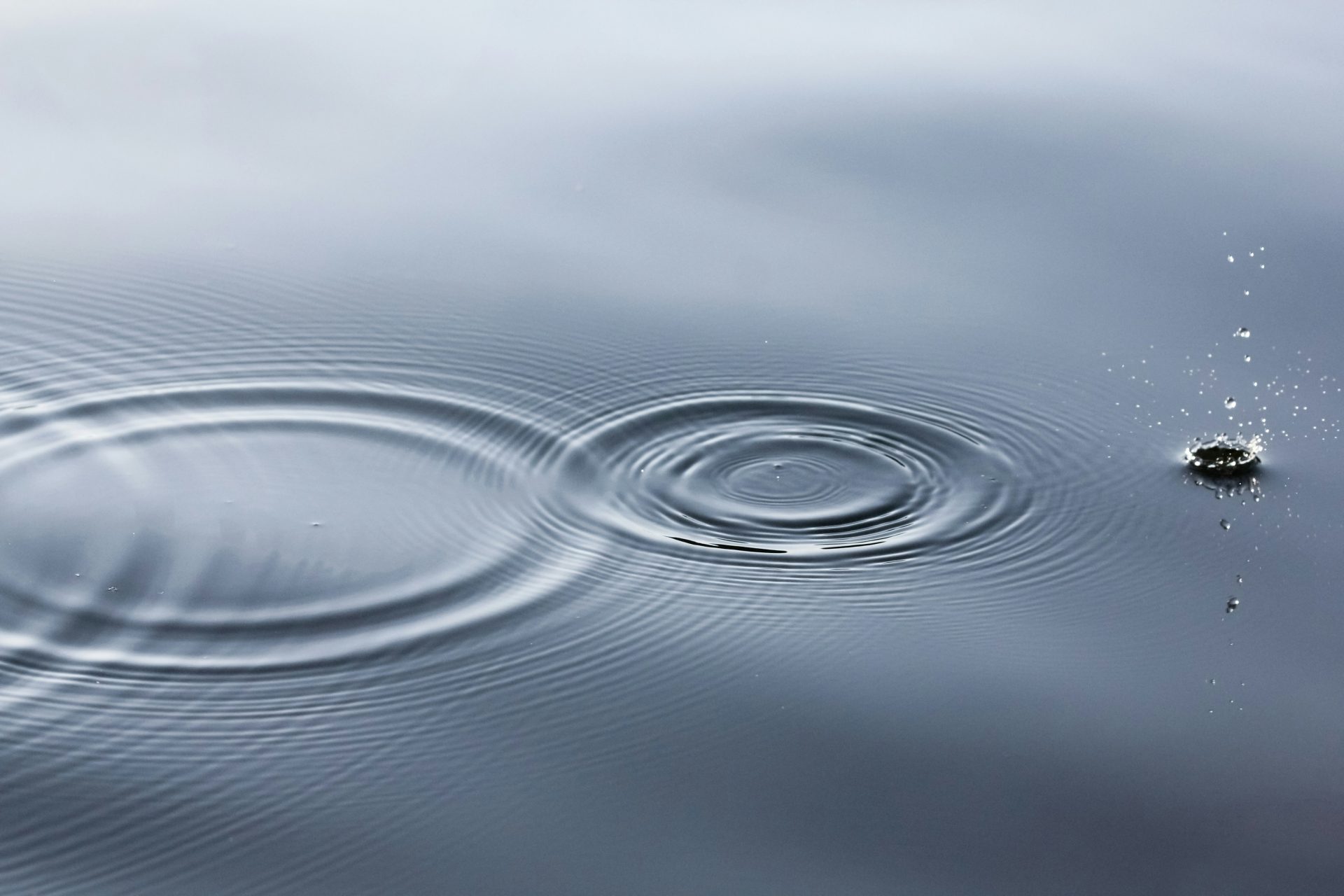Water droplet causing ripples on calm surface.